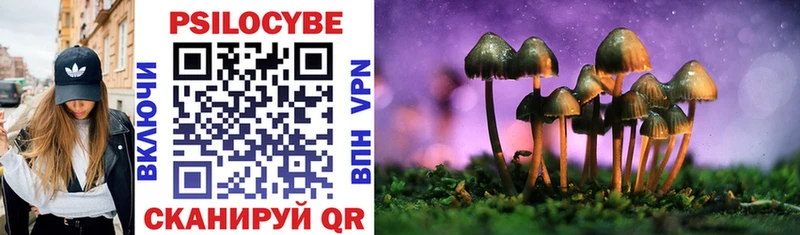 Псилоцибиновые грибы Psilocybe  Кудымкар 